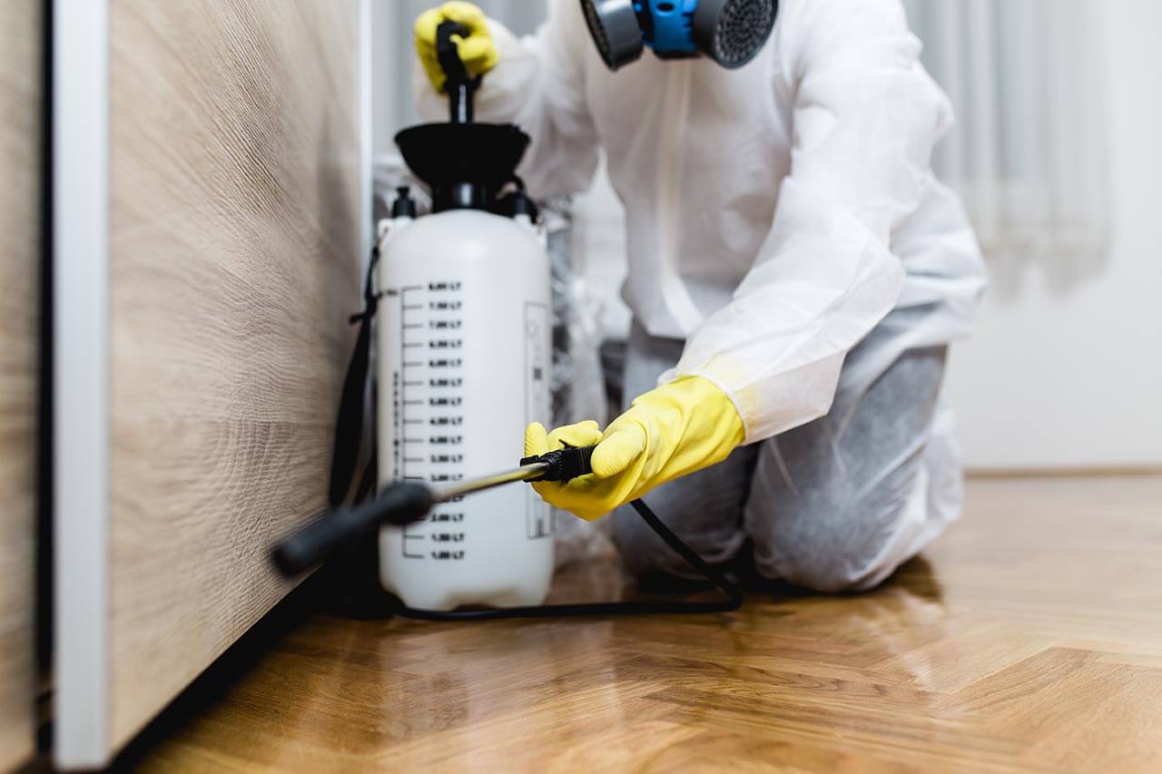 Contractor spraying chemicals