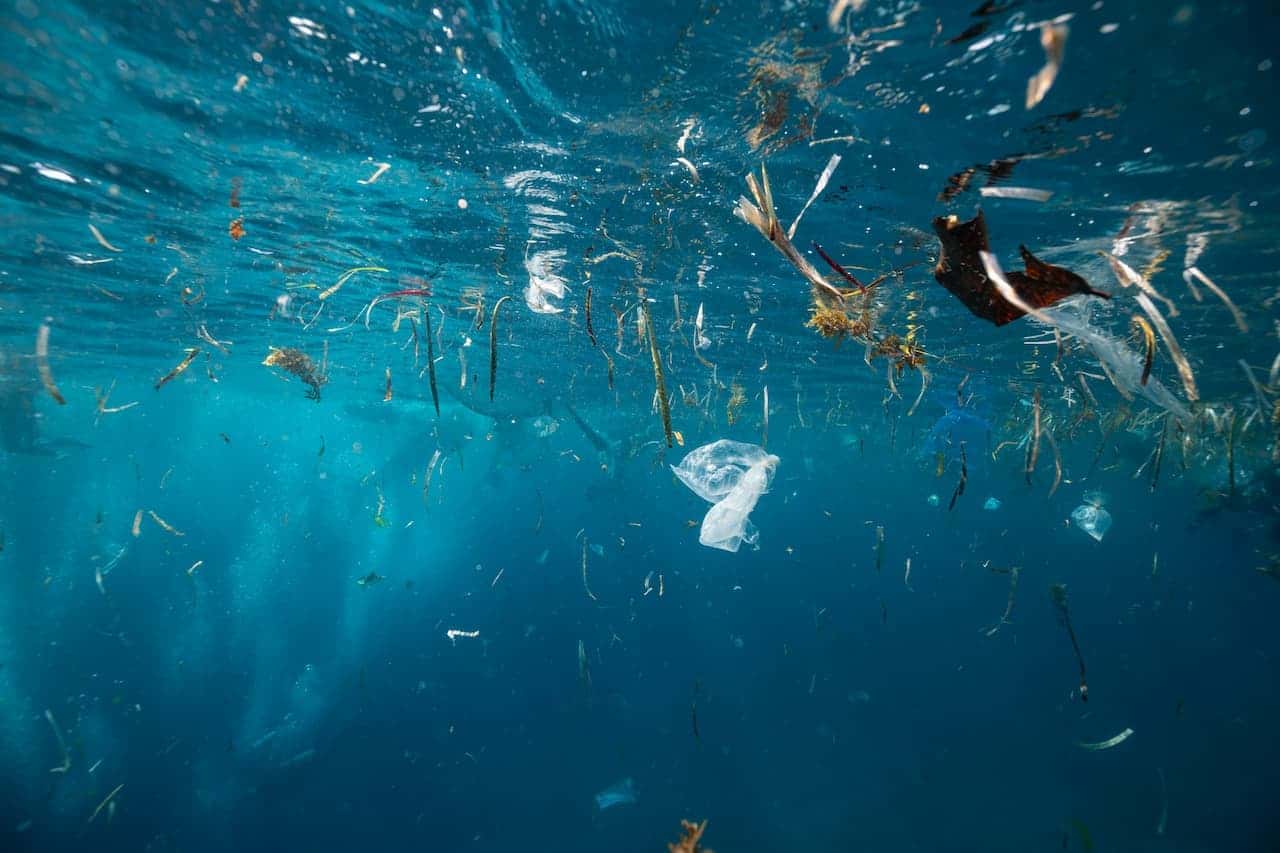 Plastic pollution floating in the sea