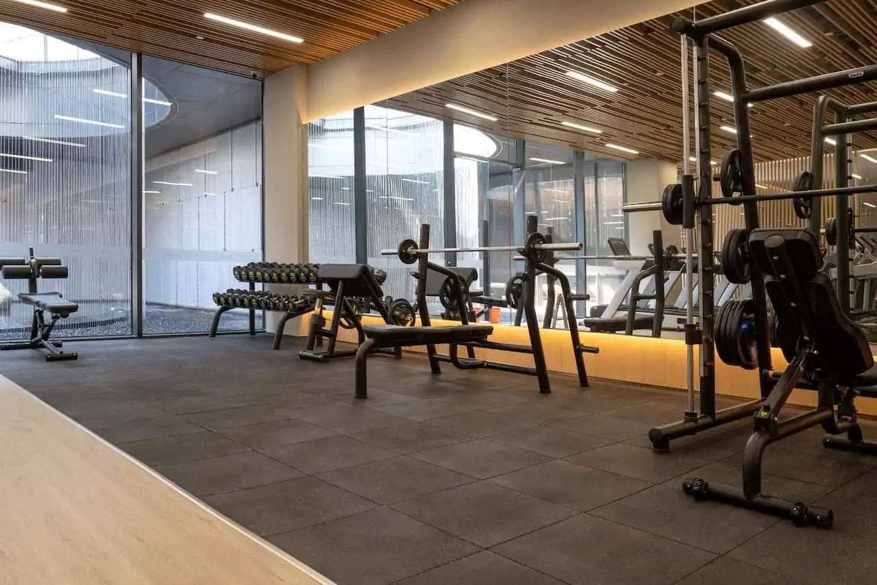 Weights and gym equipment