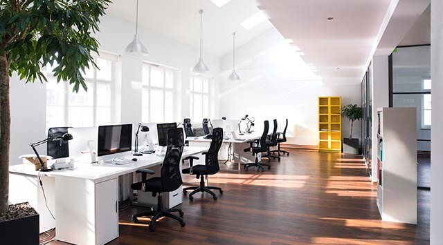 A bright office space with several desks and black office chairs lined up. Computers and desk lamps are on the desks. Large windows allow natural light in, and there are green plants and a yellow shelving unit in the room.