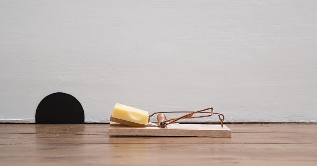 Wooden mousetrap with cheese on the floor, near a painted mouse hole on a white wall.