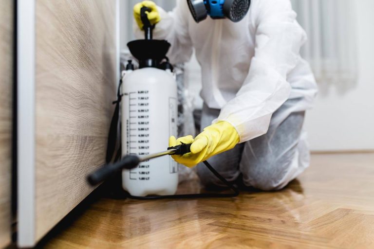 A close-up of a pest control worker applying pesticide with a sprayer, wearing protective gear.