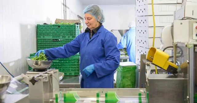 Worker handling fresh greens in a food processing facility with green crates in the background.