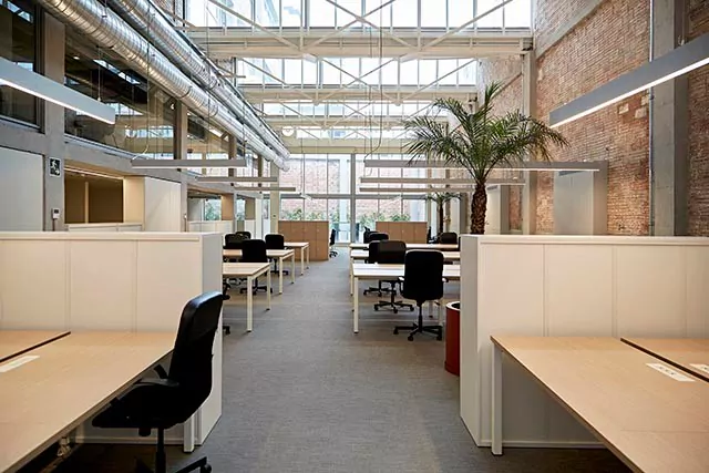 Modern office with brick walls, exposed desks, and plants.